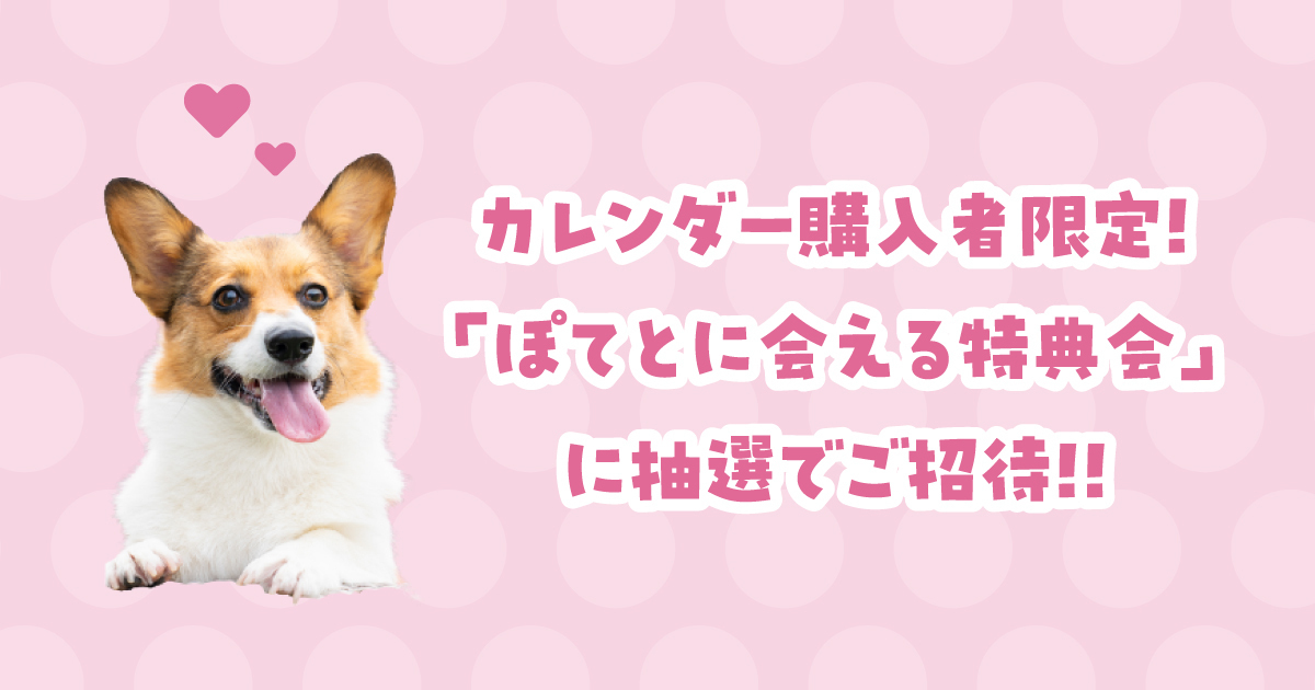 【応募締切11/17(日)】「ぽてとのカレンダー2025」特典会 